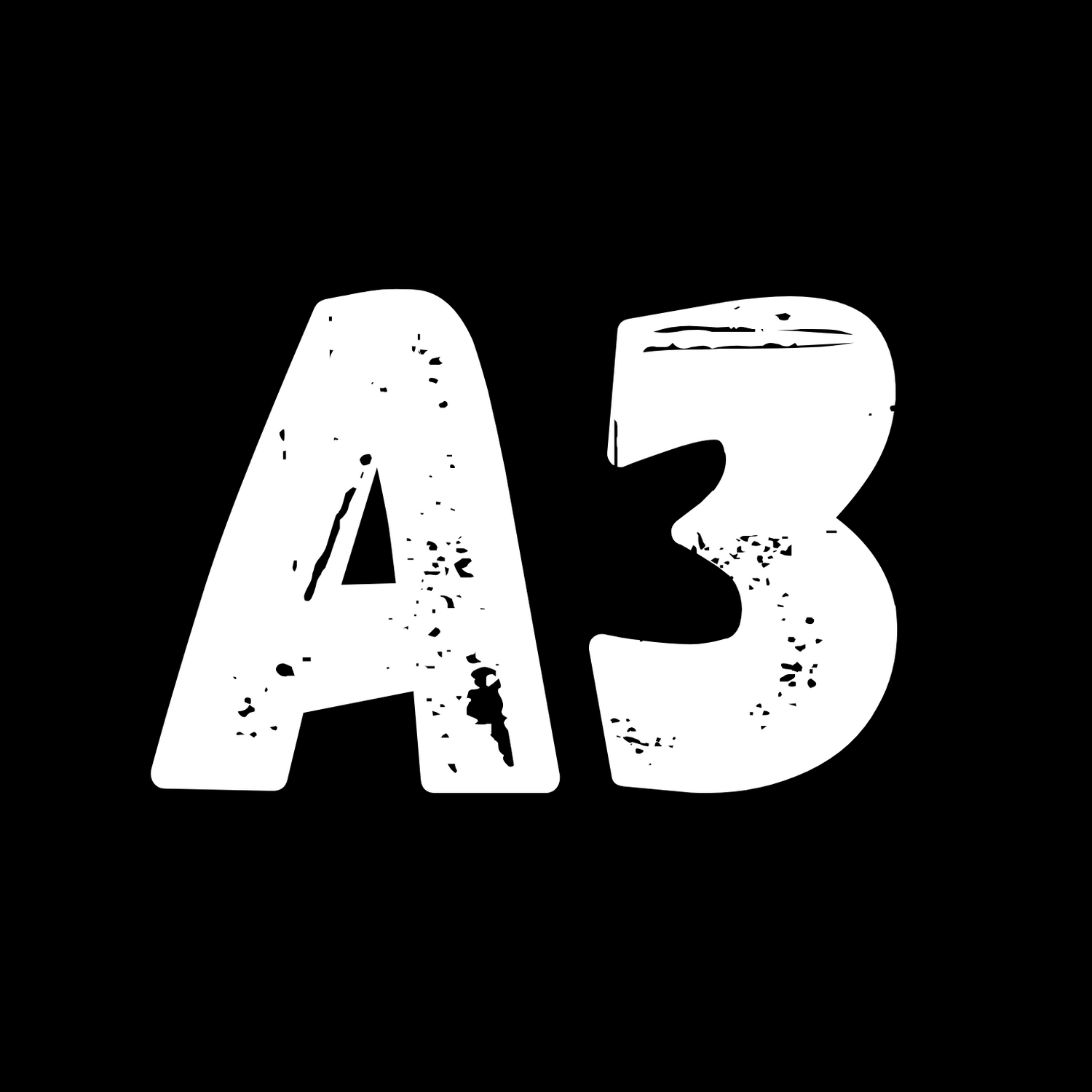 A3